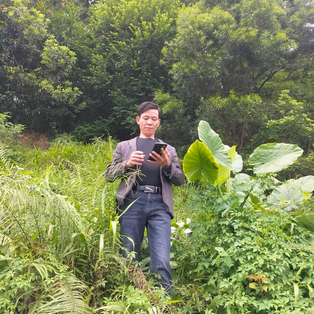 年年好运来