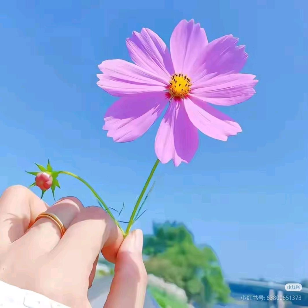 家居好物推荐官