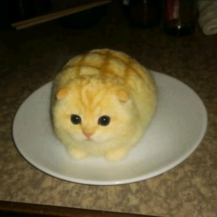 世一