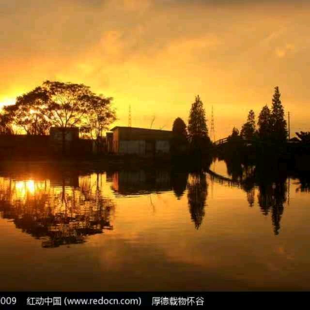元缘