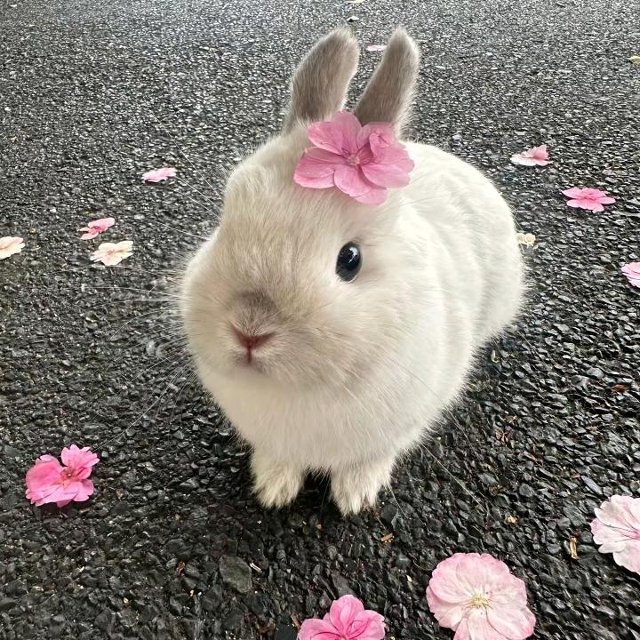 竹零🖤