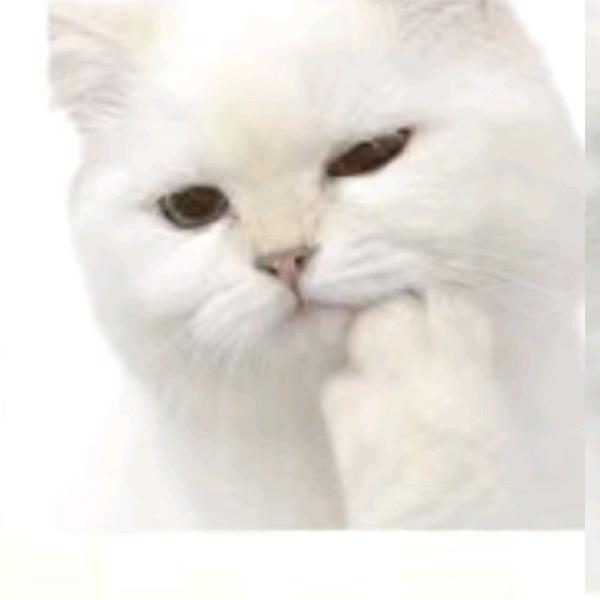 ～H