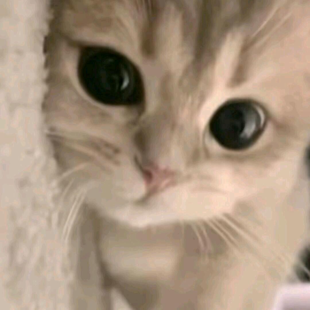 小半