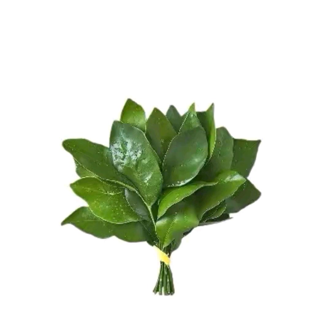 糖糖