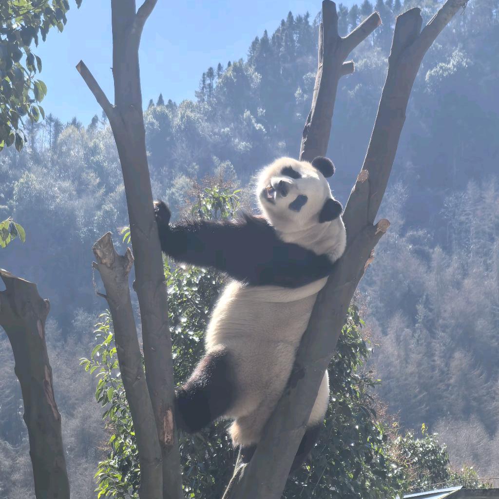快樂小狗