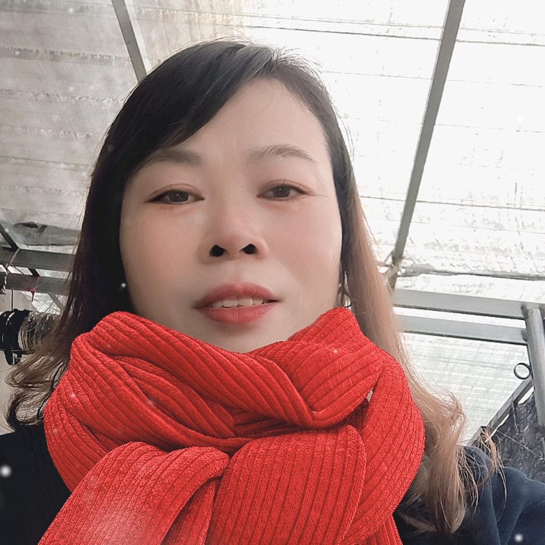 上海点火手