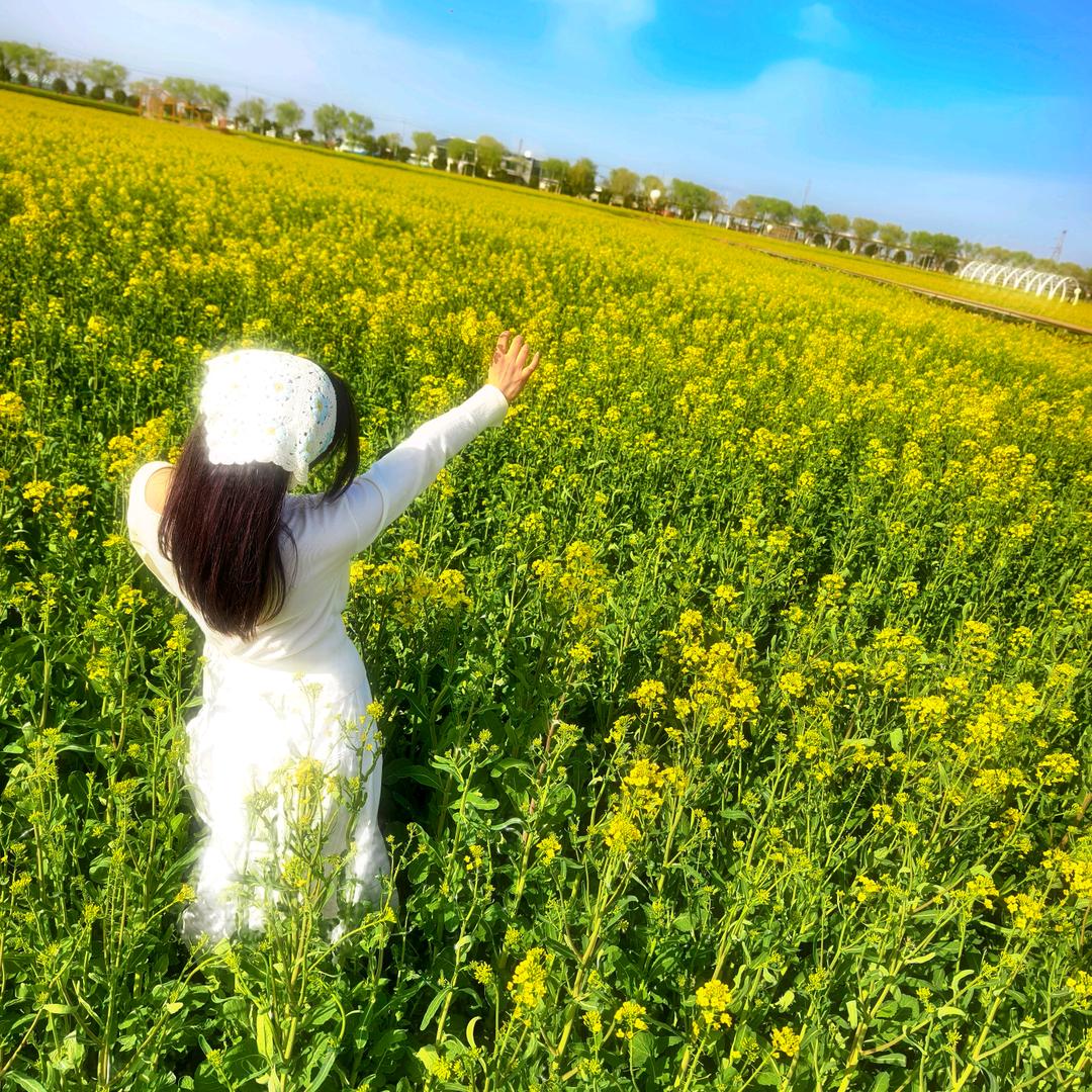 抢小彭友棒棒糖🍭