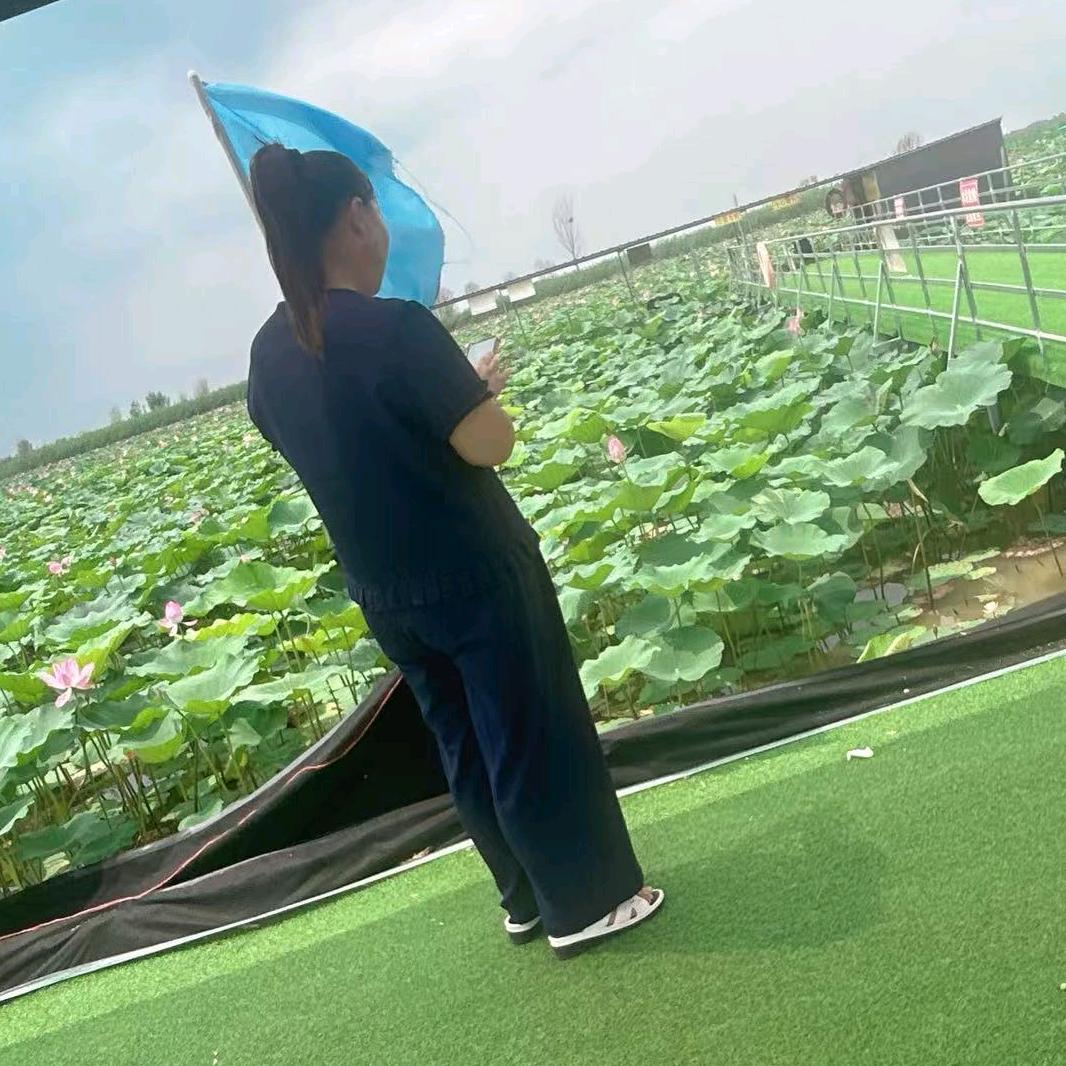 梦之韵