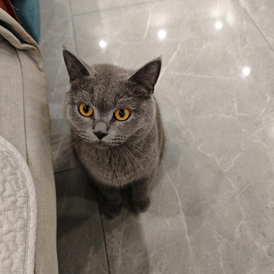 篮球场上的亮哥