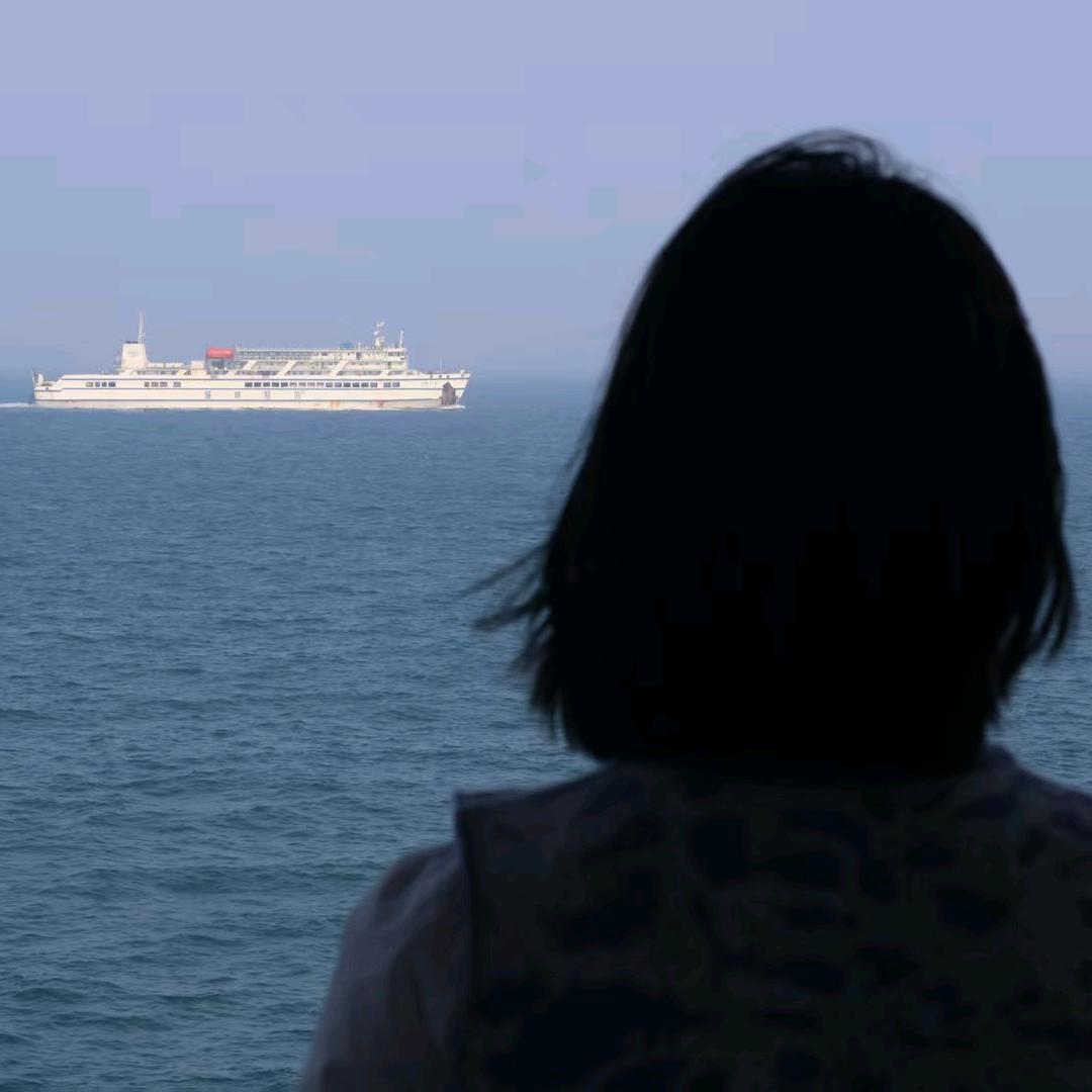 小张爱摄影📷（突破1000粉）