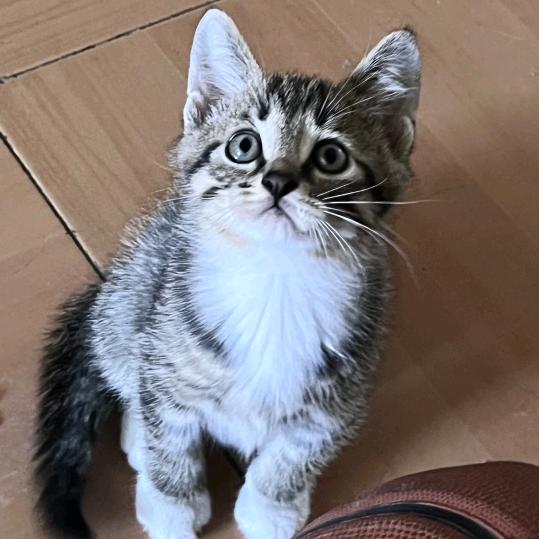 瞌睡虫✨