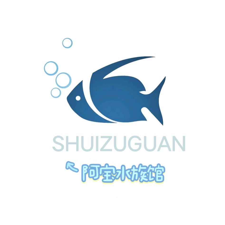 🦋阿宝爱养鱼🦋