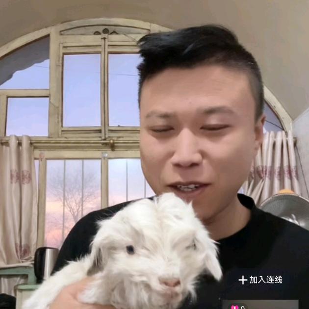 品牌花肚妈