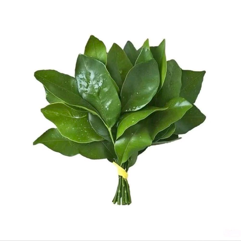 用户9820458048169