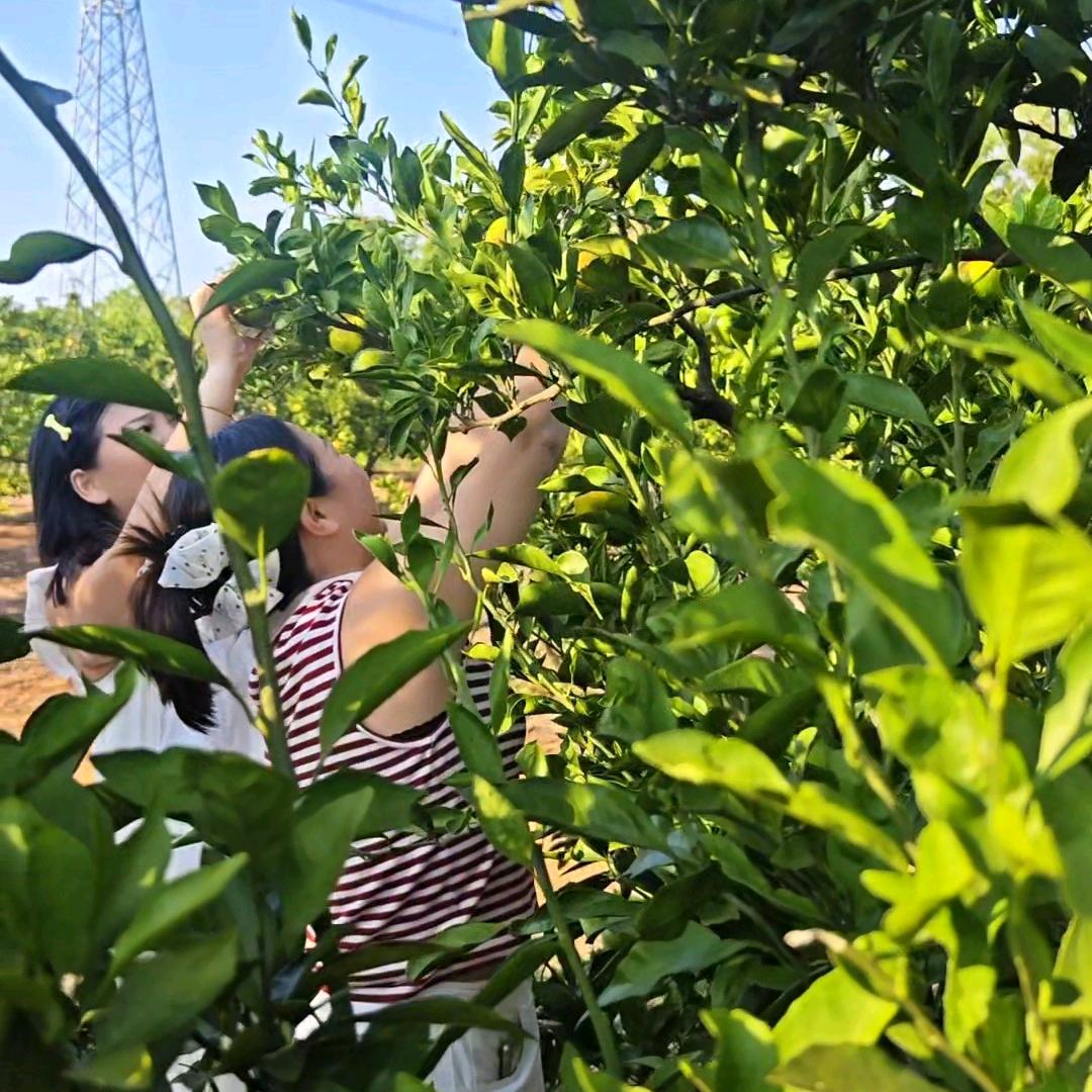 江西鄱阳湖总探【一妹】