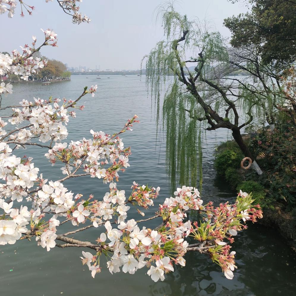 执笔写流年