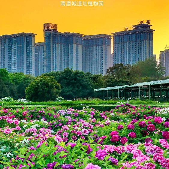 玩火的男人
