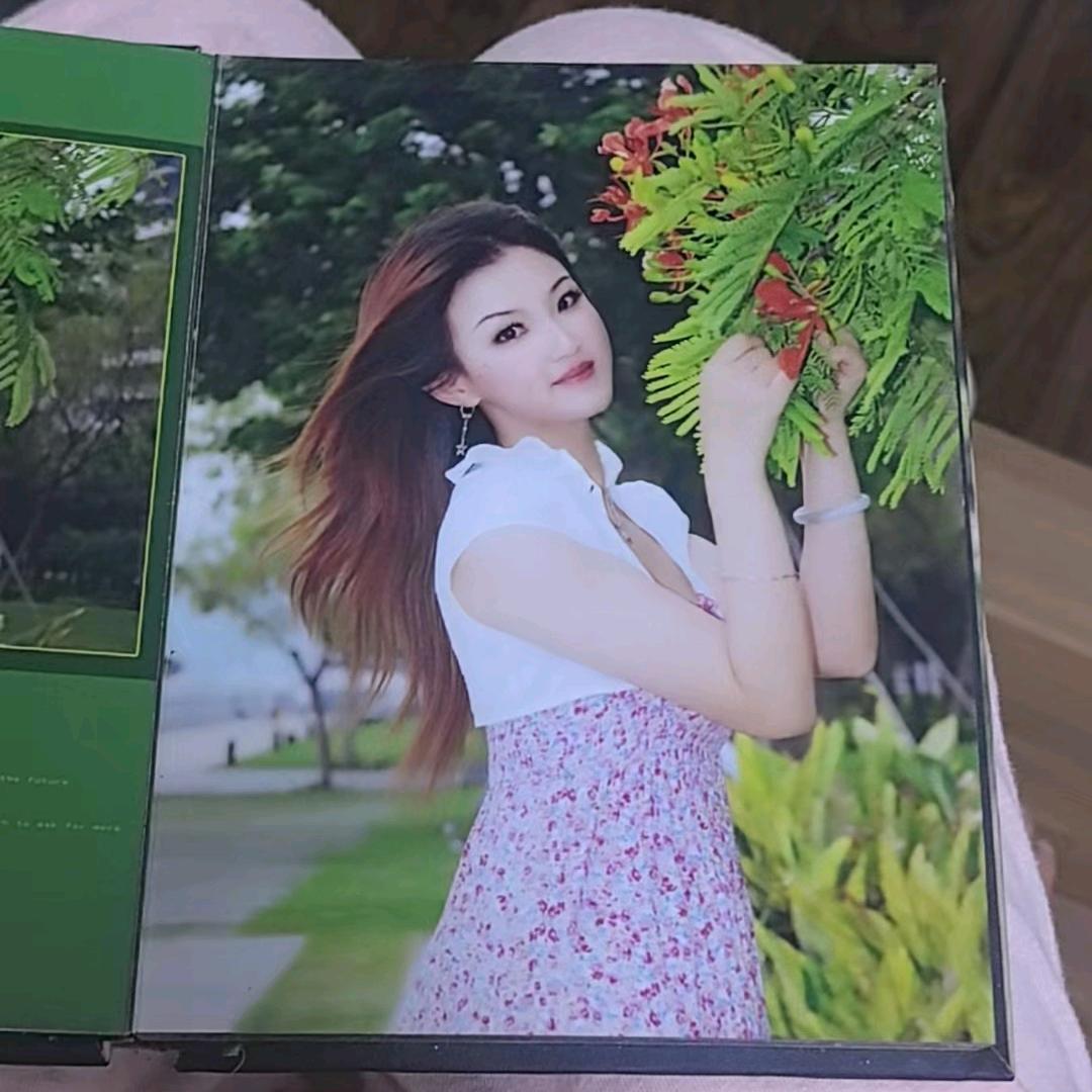 美乐