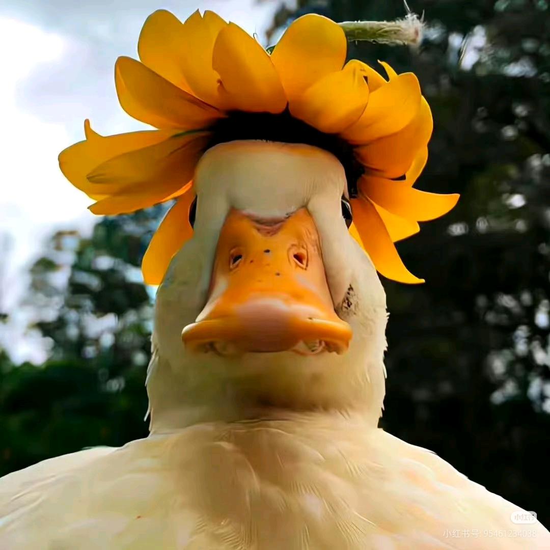 破威PUBG（眼神不太好）