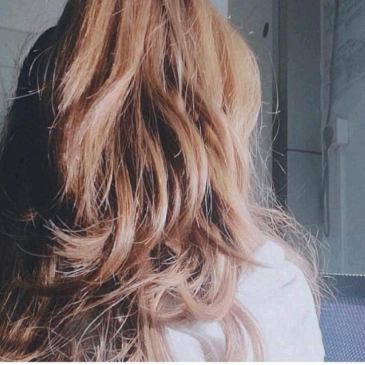 财神爷的心尖宠儿