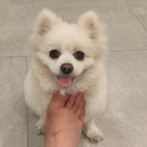 玖玖帽业