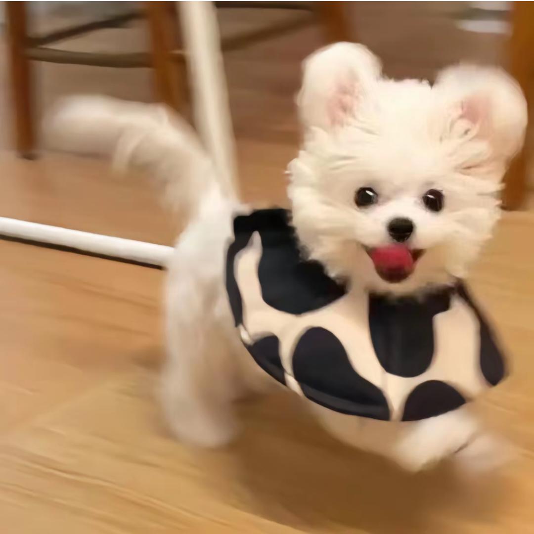 嘻嘻嘻嘻嘻嘻嘻嘻嘻嘻嘻嘻