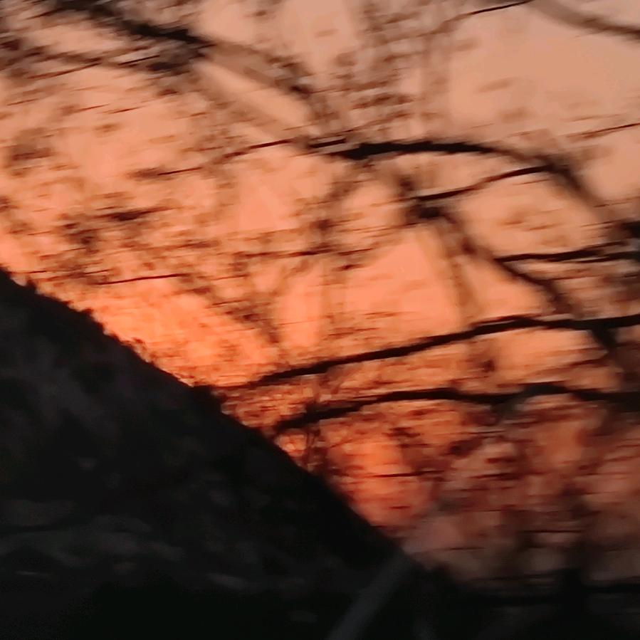 夕阳掉进我心里