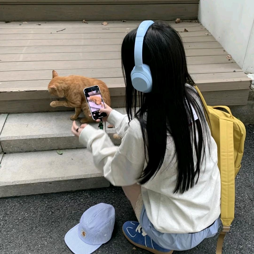 牛奶不吃肉