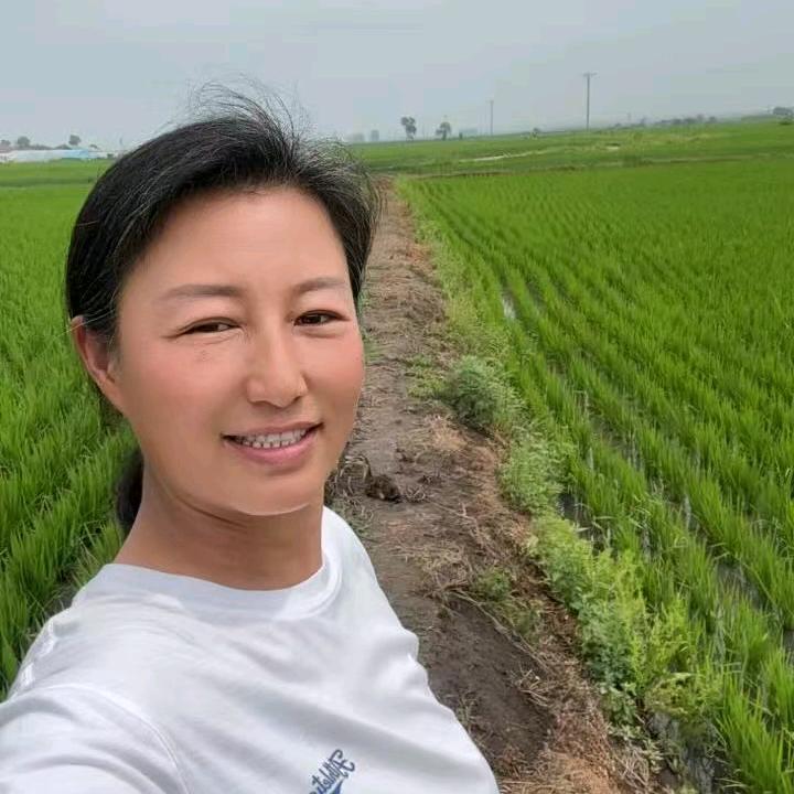 刘丽玲五常大米