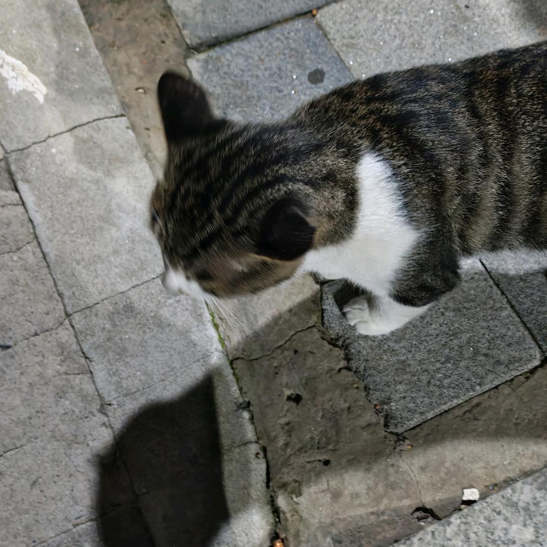 小。