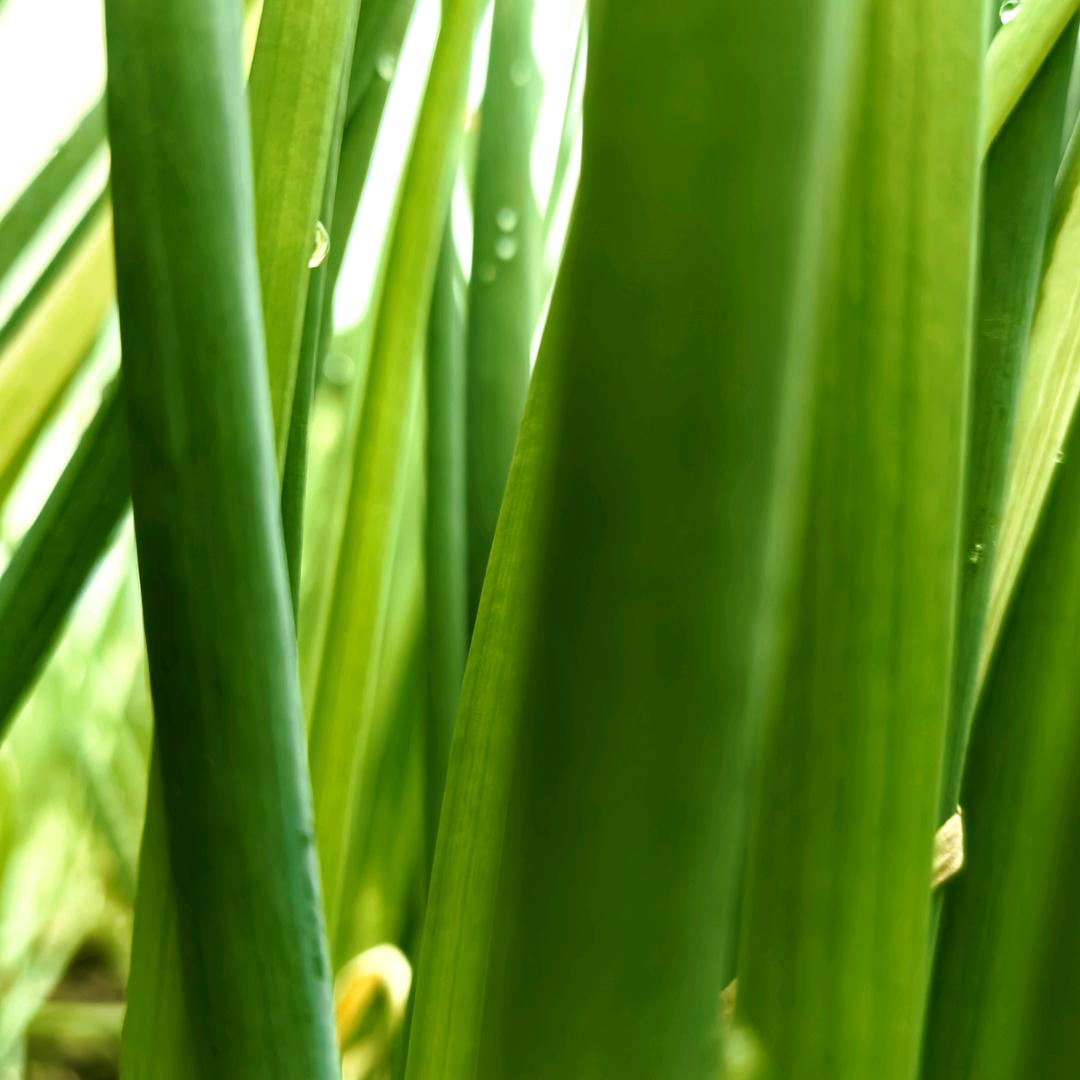 ████████████████████