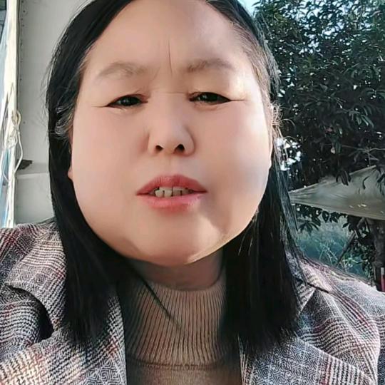 加芬（王）