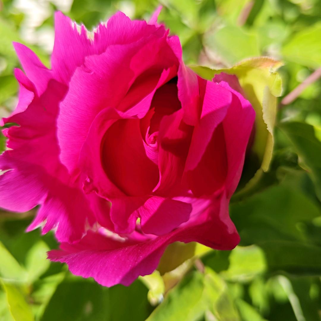 春 暖 花 开