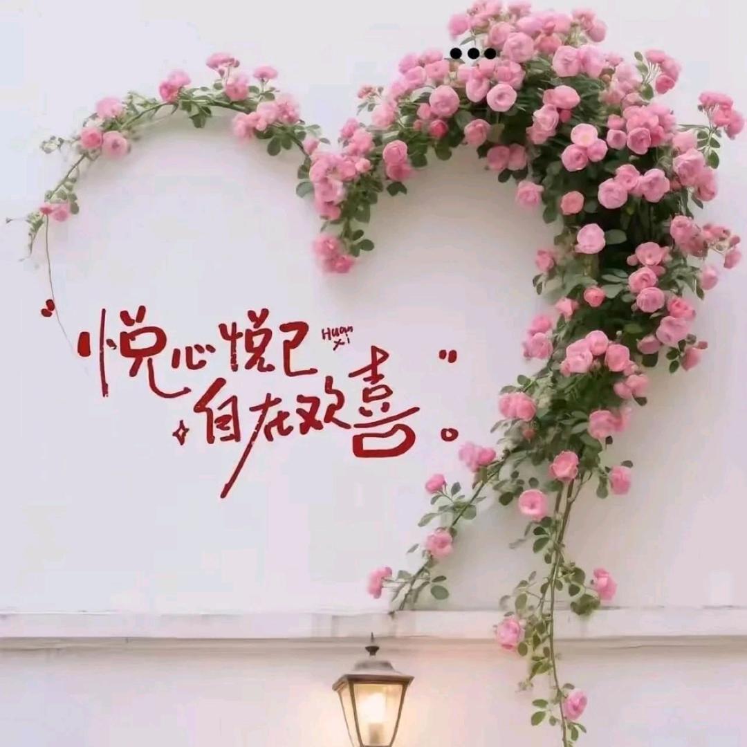 安好勿念（小李）