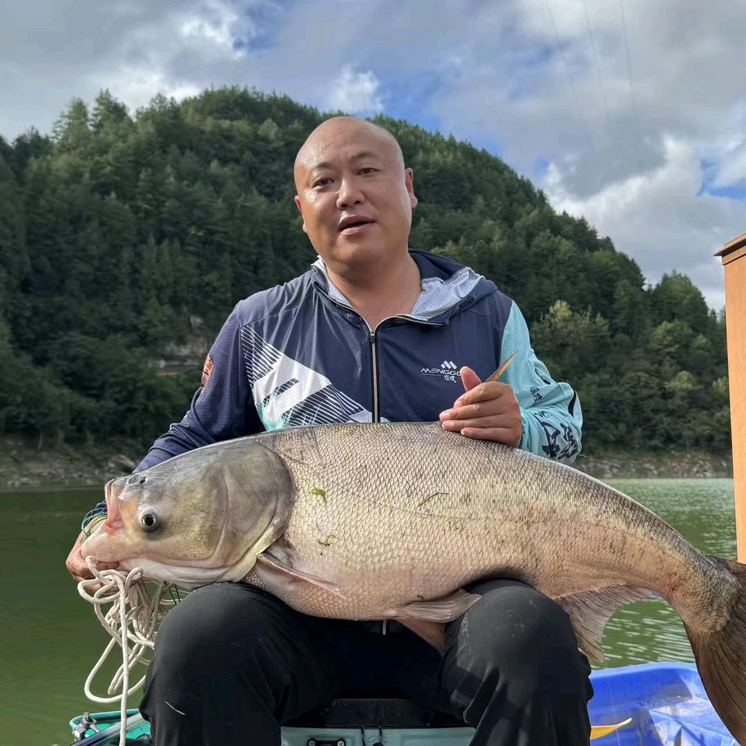 树秧秧