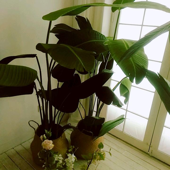 💫靓💞岩ꦿᩚ࿐