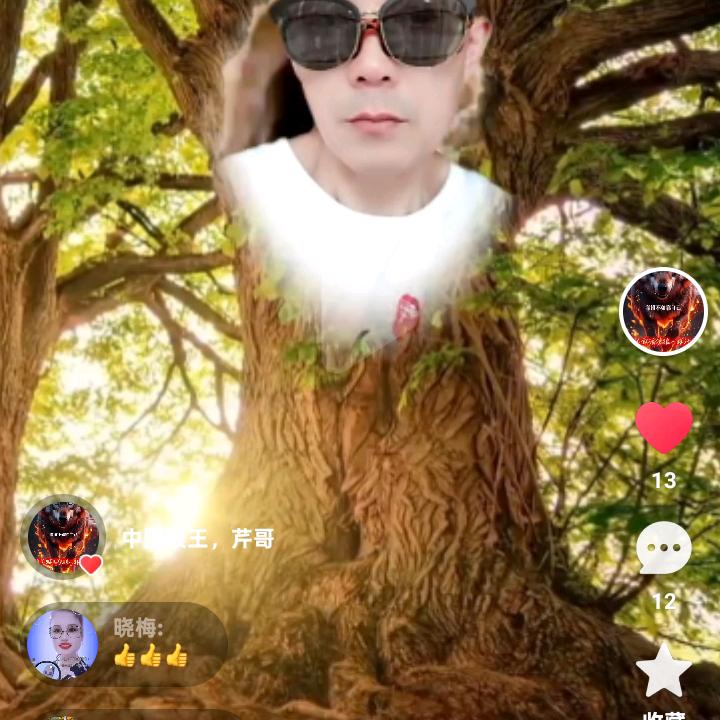 专业安装车棚，暖棚