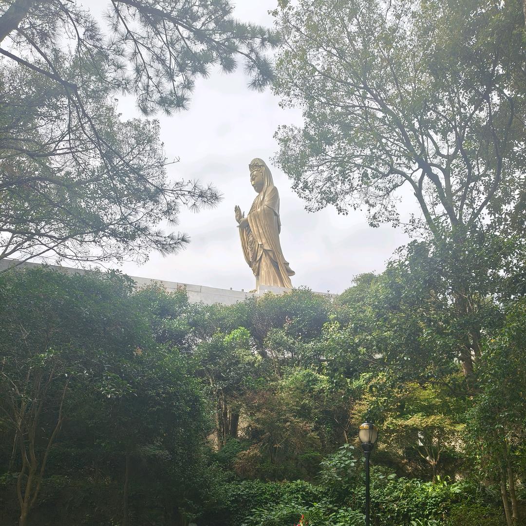 曾经的梦想。