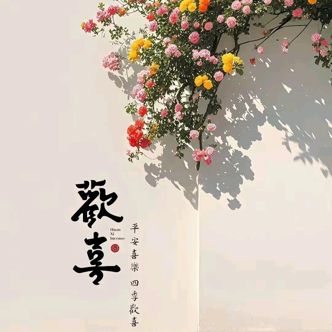 你随意´_>`酷