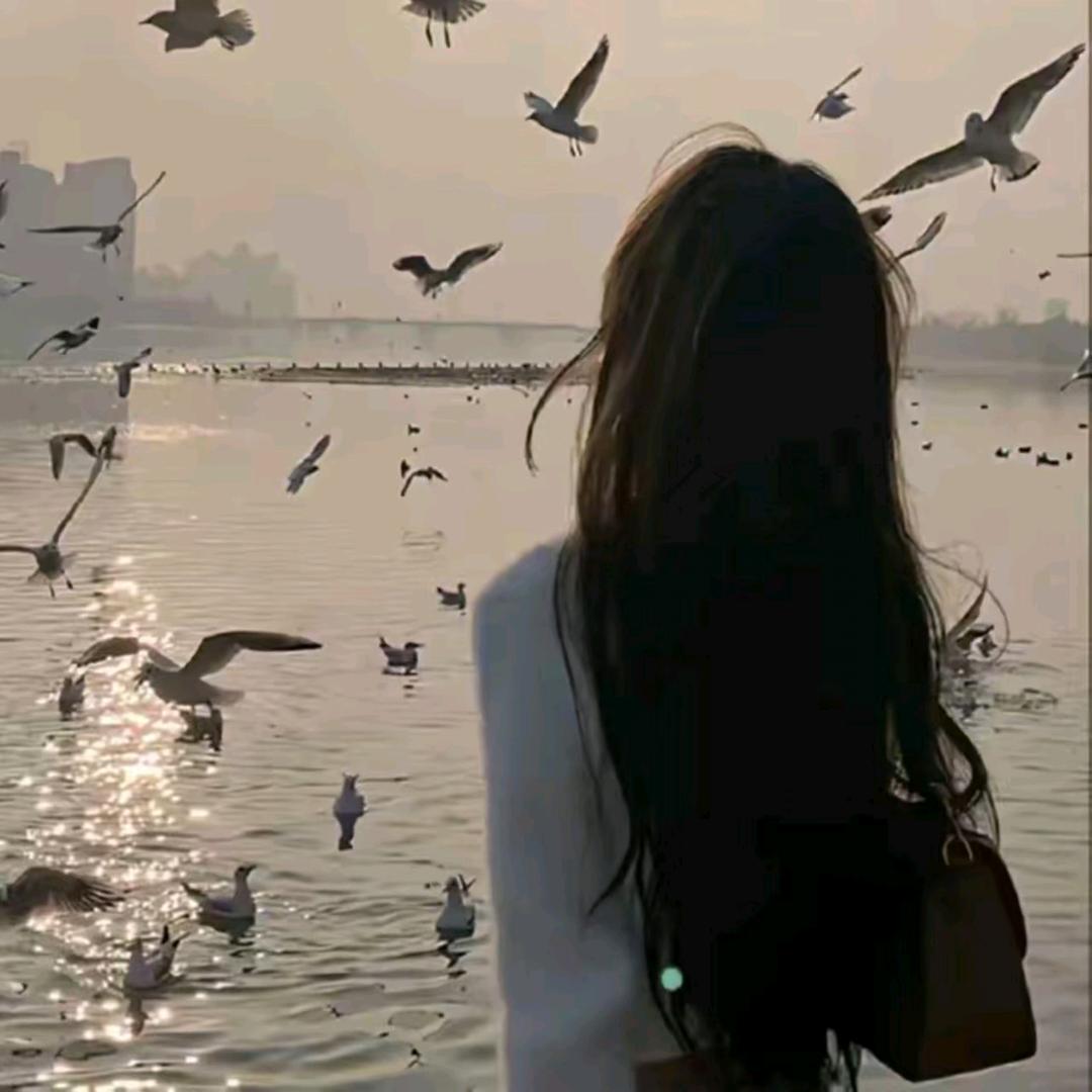 小木瓜