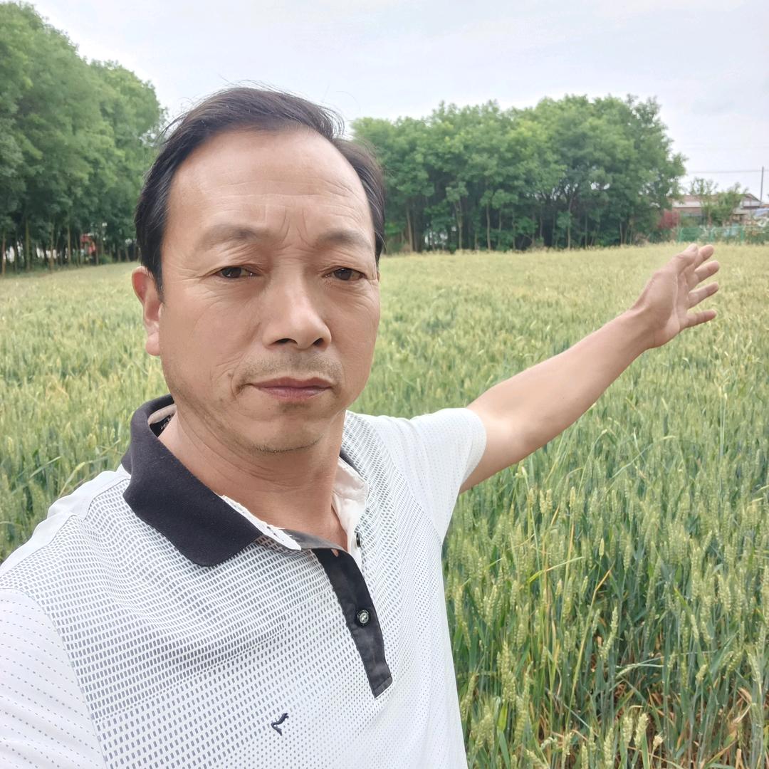 风雨人生