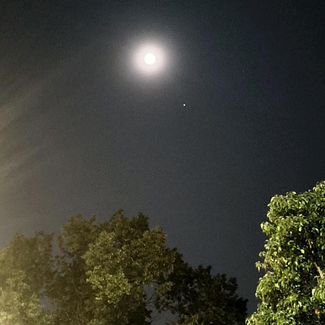 月星交辉🌕✨3344277