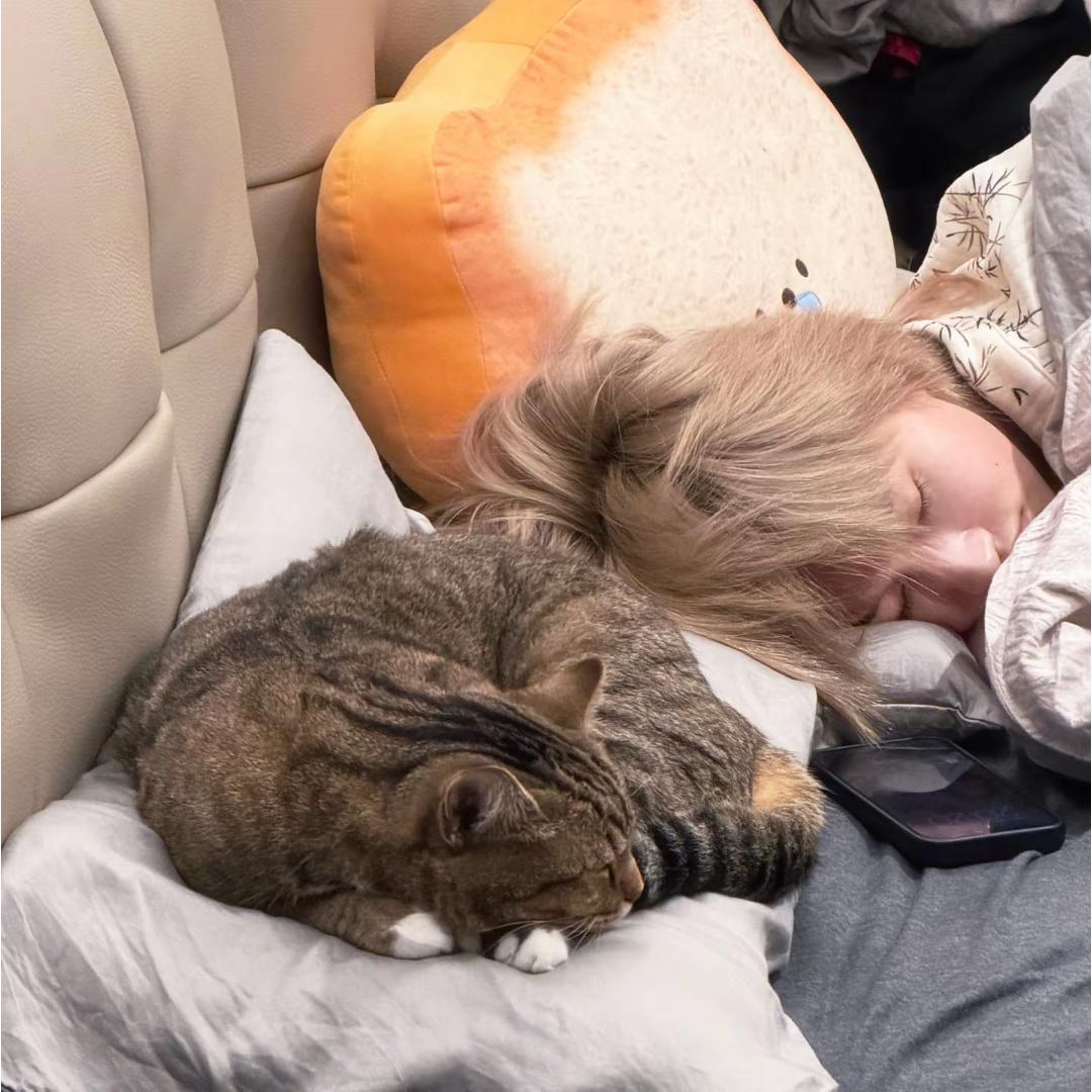 噜噜😸