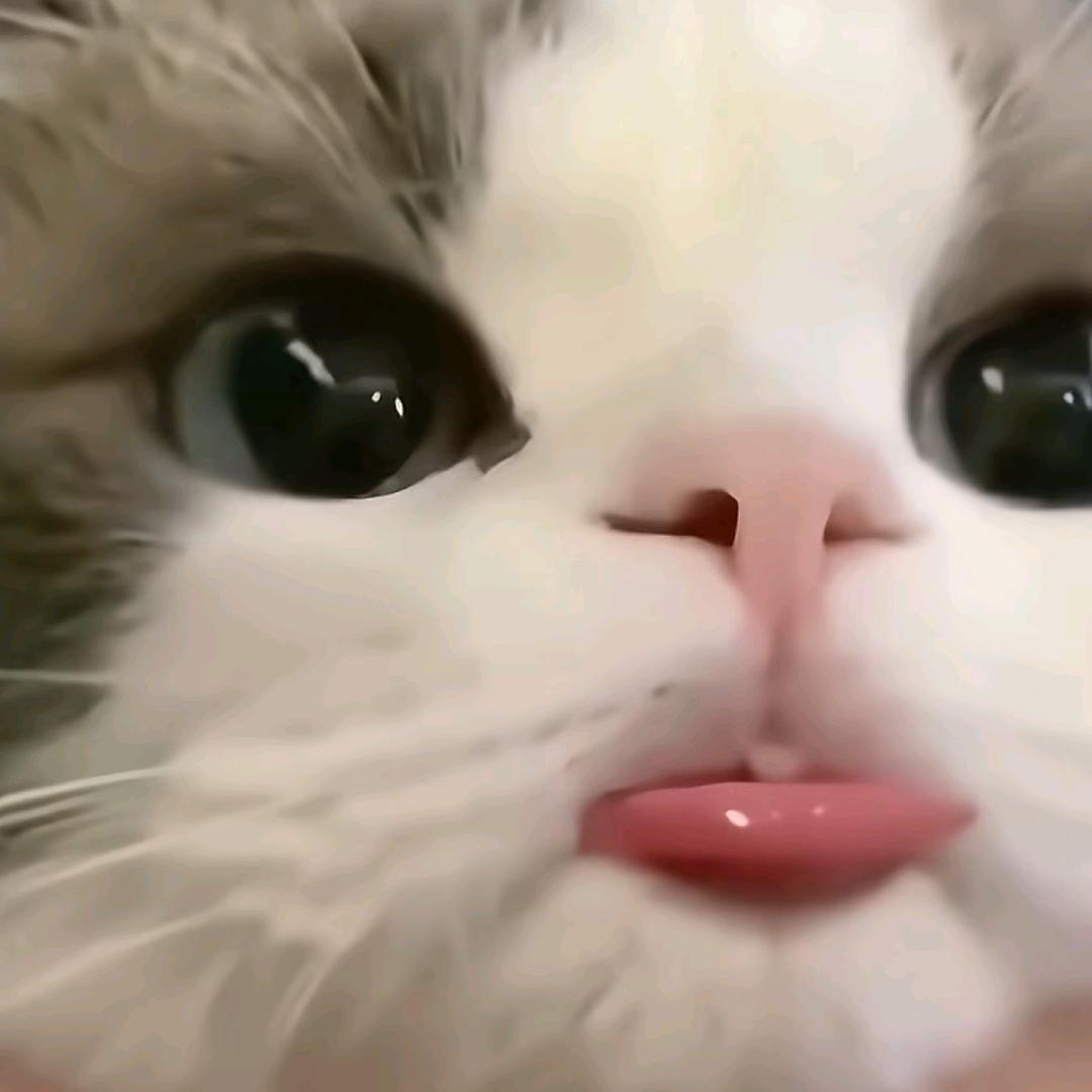 佩奇