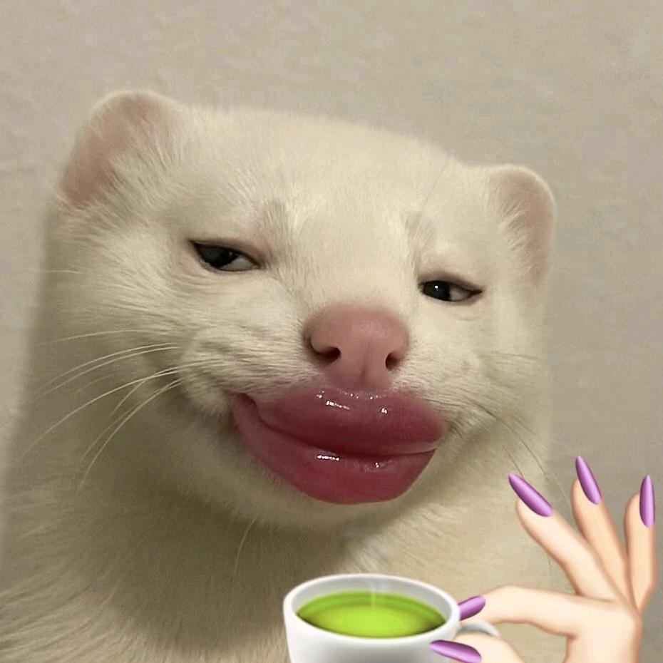 小章鱼很菜哒🐡