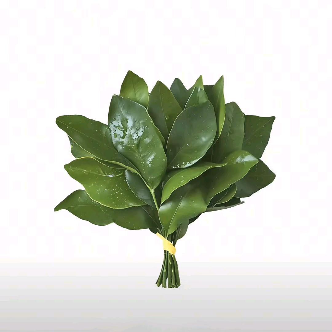 文文记录农村生活