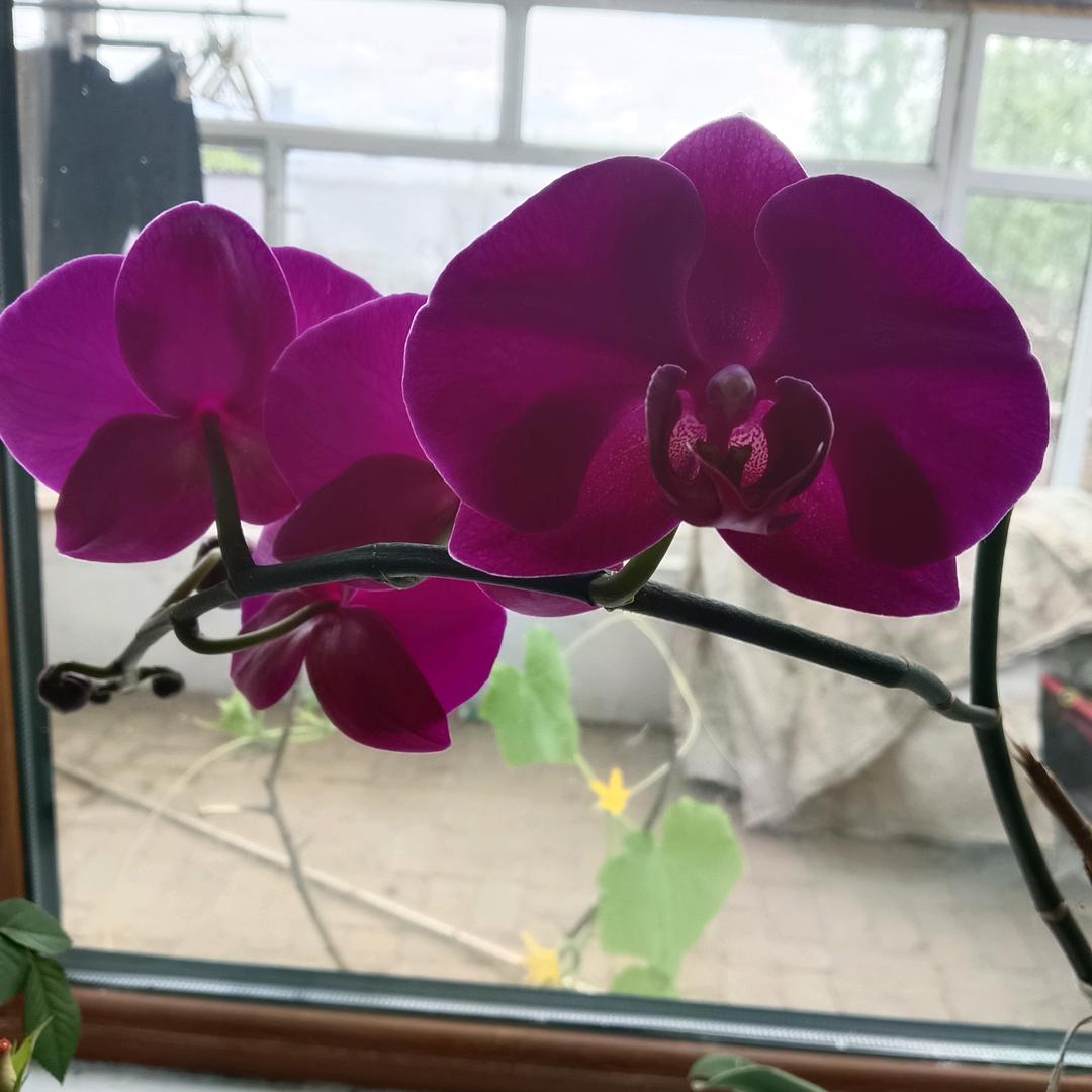 💕平安