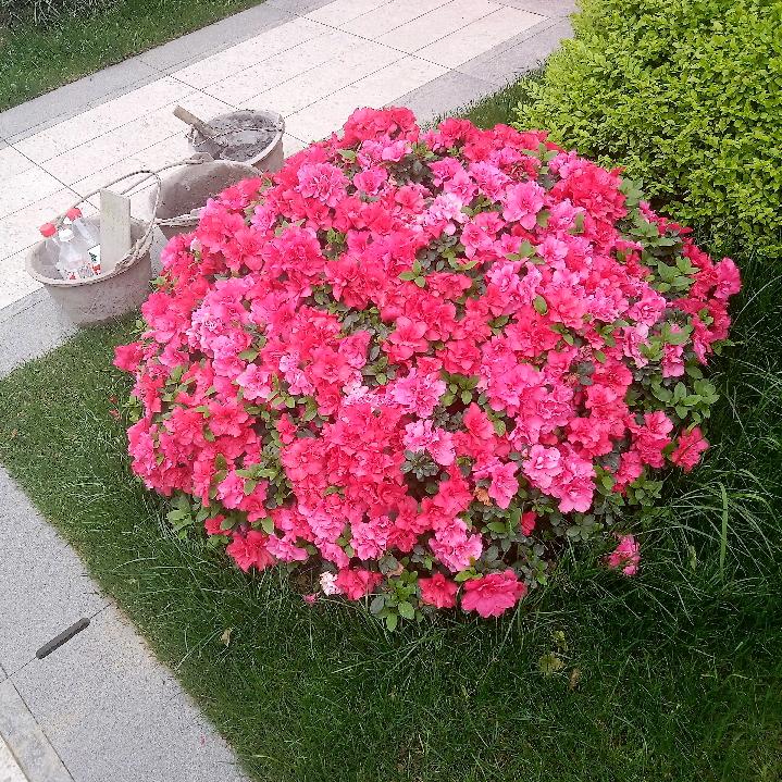 我是打工流浪仔