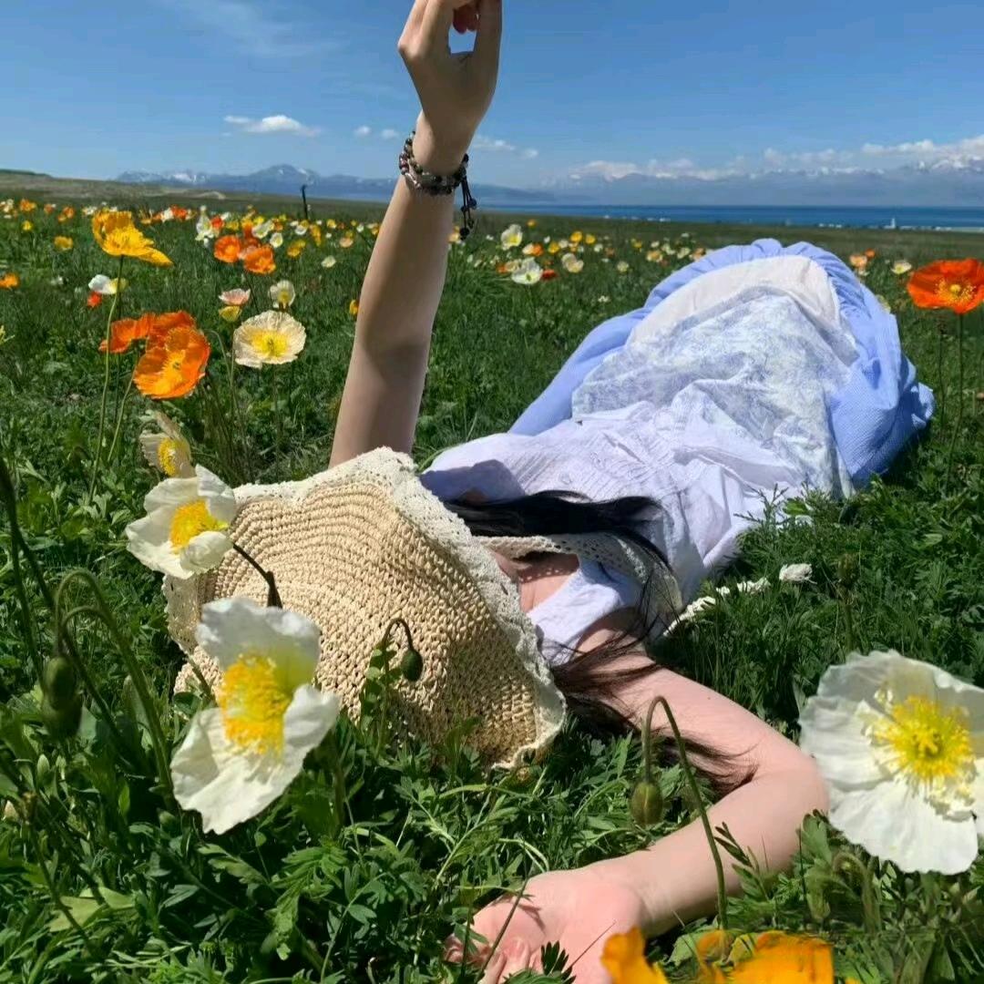林深不见鹿