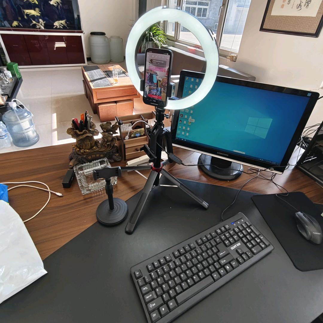 柒加壹竞速泳衣